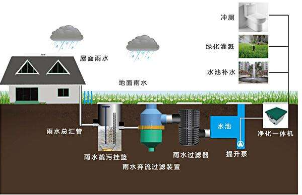 滲透式雨水收集系統的循環體系，打造需要考量哪些環境因素？